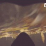 SUD20140626-08_32_54