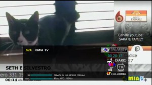 6MIA TV - 10 dicembre - 00.20.17